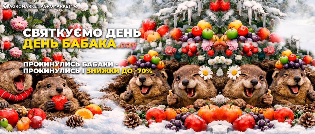 Святкуємо день день бабака