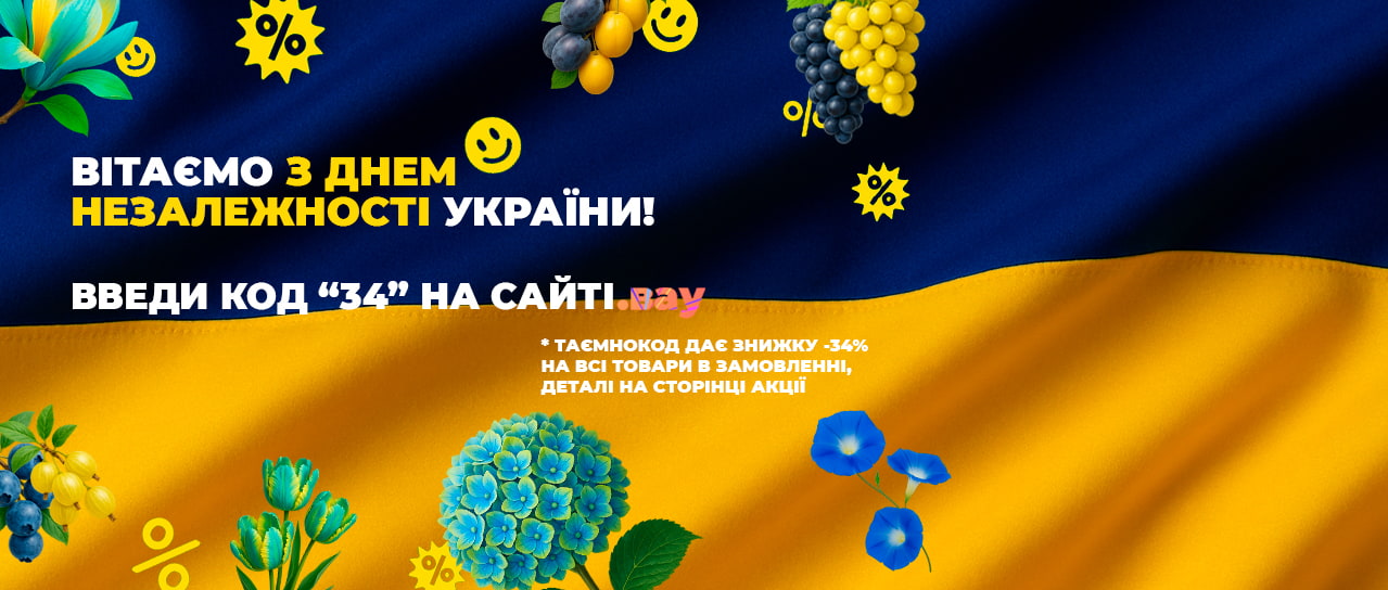 Вітаємо з Днем Незалежності України!
