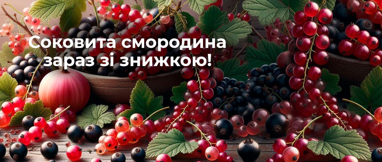 Соковита смородина зараз зі знижкою! 