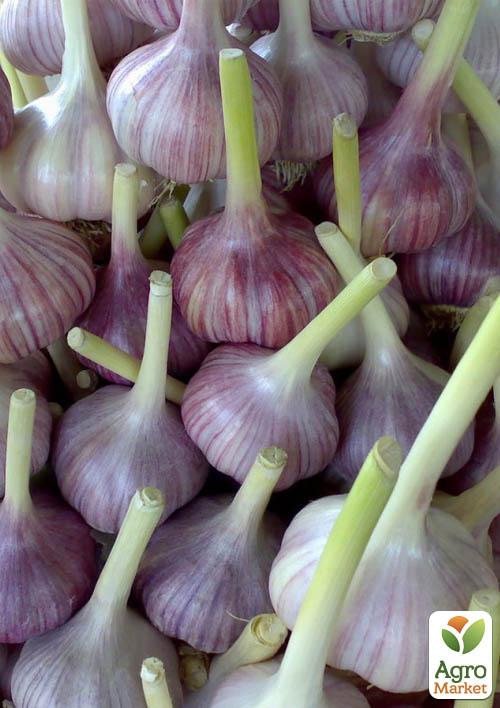 Часник посадковий (повітряні насіння) Любаша 100г
Часник посадковий (повітряні насіння) Любаша 100г