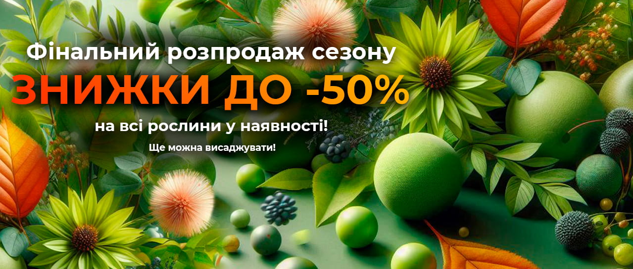 Фінальний розпродаж сезону до -50%!