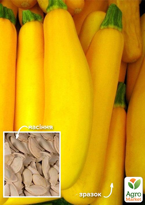 Кабачок Світозар ТМ Весна 500г
Кабачок Світозар ТМ Весна 500г