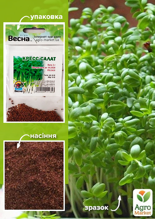 Кресс-салат (Зипер) ТМ Весна 2г
Кресс-салат (Зипер) ТМ Весна 2г