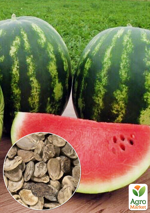 На вагу Кавун Фарід ТМ Весна ціна за 6г
На вагу Кавун Фарід ТМ Весна ціна за 6г