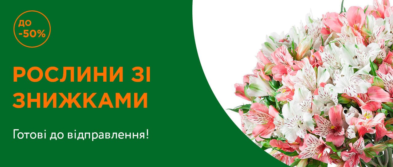 Рослини зі знижками до -50%!
