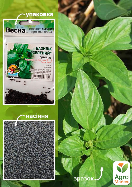 Базилик Зеленый (Зипер) ТМ Весна 1,5г
Базилик Зеленый (Зипер) ТМ Весна 1,5г