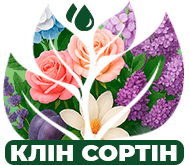 Парад цветов Парад цветов