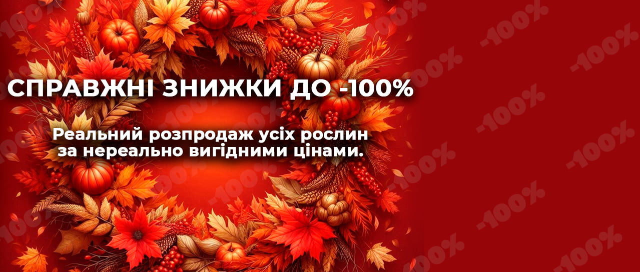 Справжні знижки до -100%!