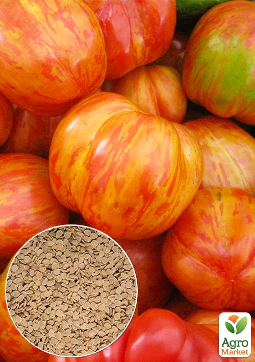 На развес Томат Полосатый шмель ТМ Весна цена за 1г
На развес Томат Полосатый шмель ТМ Весна цена за 1г