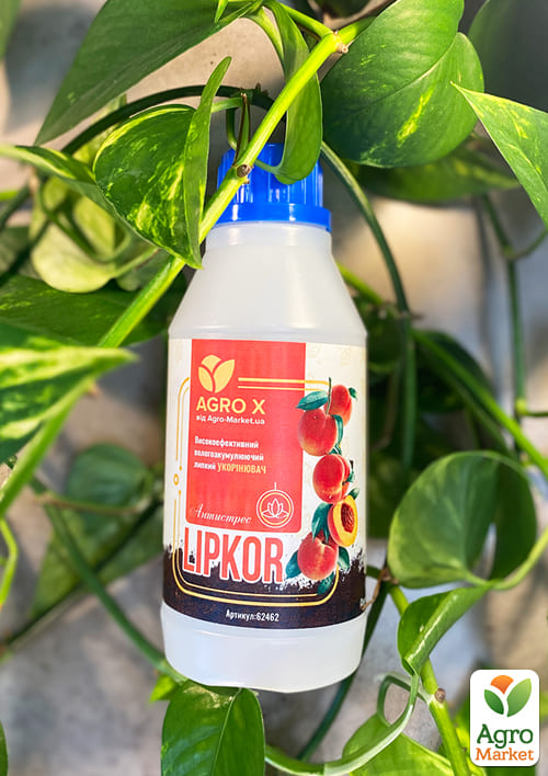 Липкий укоренитель нового поколения LIPKOR Антистресс (Липкор) ТМ AGRO-X 300мл
Липкий укоренитель нового поколения LIPKOR Антистресс (Липкор) ТМ AGRO-X 300мл