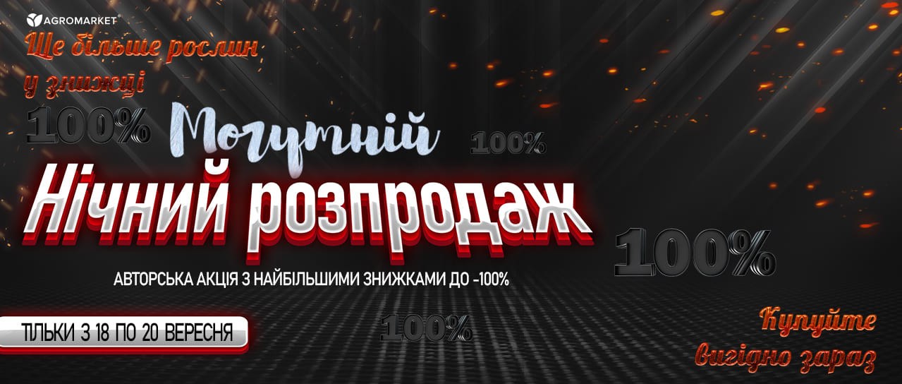 Могутній нічний розпродаж зі знижками до -100%