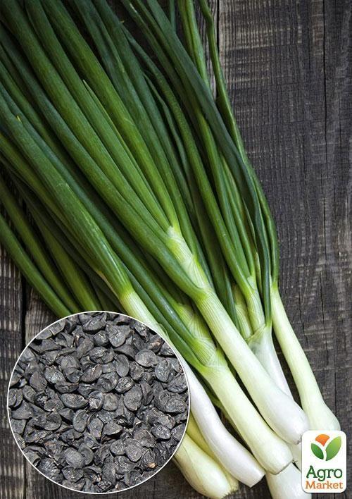 На вагу Цибуля на зелень Зелені пір'ячко ТМ Весна ціна за 3г
На вагу Цибуля на зелень Зелені пір'ячко ТМ Весна ціна за 3г