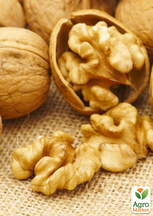 Волоський горіх Ідеал (ранній термін дозрівання)
Волоський горіх Ідеал (ранній термін дозрівання)