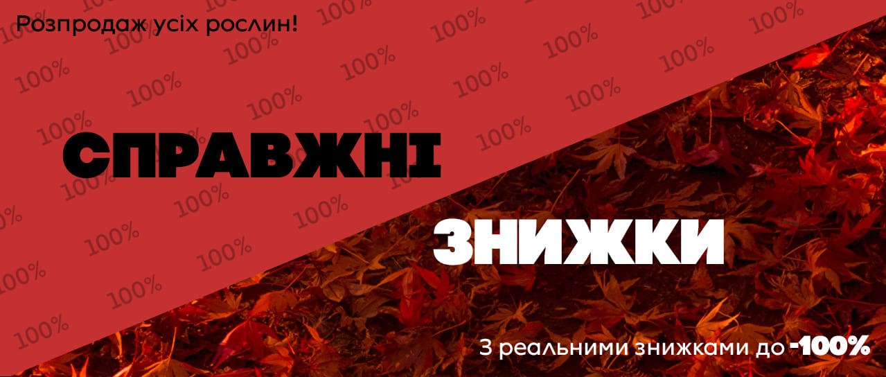Справжні знижки до -100%!