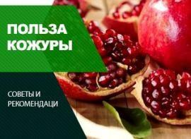 Гранатова кожура: користь і шкода - корисні статті про садівництво від Agro-Market