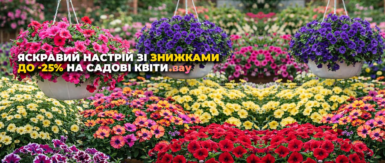 Яскраві знижки на садові квіти