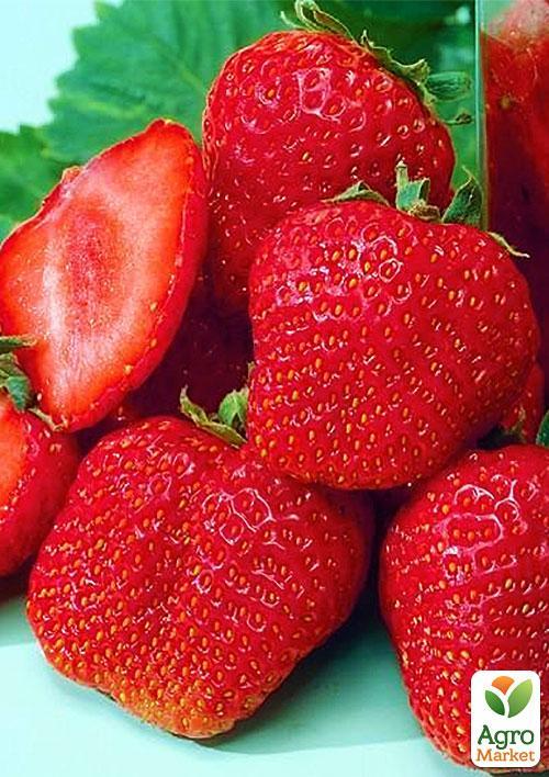 Клубника Мармелада (Marmolada) 5шт (средний срок созревания, сорт стойкий к различным заболеваниям)
Клубника Мармелада (Marmolada) 5шт (средний срок созревания, сорт стойкий к различным заболеваниям)