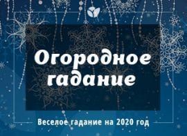 Веселое огородное гадание: чего ожидать в 2020 году