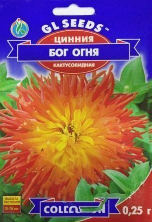 Цинния кактусоцветная "Бог огня" ТМ "GL SEEDS" 0.25г