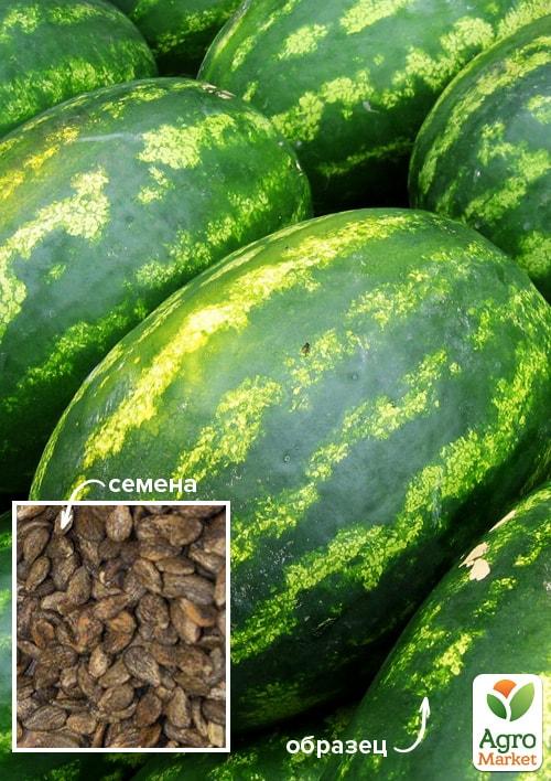 На вагу Кавун Смугаста торпеда ТМ Весна ціна за 6г
На вагу Кавун Смугаста торпеда ТМ Весна ціна за 6г