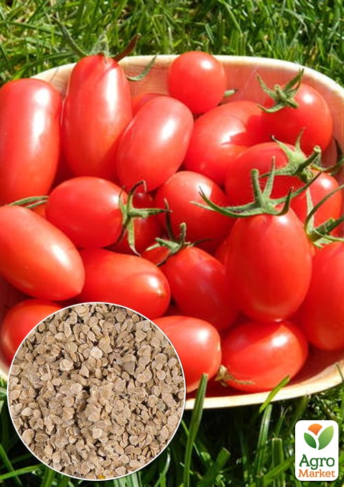 На вагу Томат Акварель ТМ Весна ціна за 1г
На вагу Томат Акварель ТМ Весна ціна за 1г