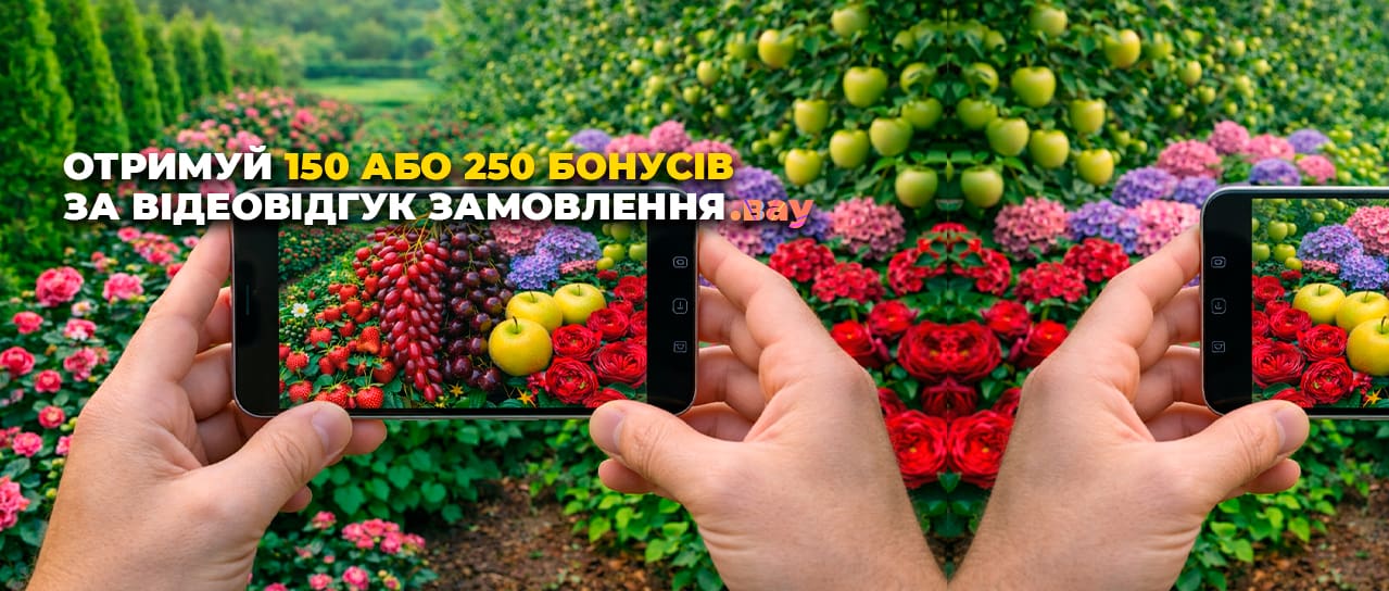 100 або 250 бонусних гривень за відео-відгук