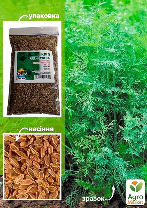 Укроп Геркулес ТМ Весна 100г
Укроп Геркулес ТМ Весна 100г