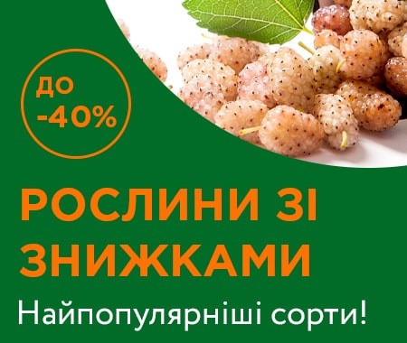 Рослини зі знижками до -40%