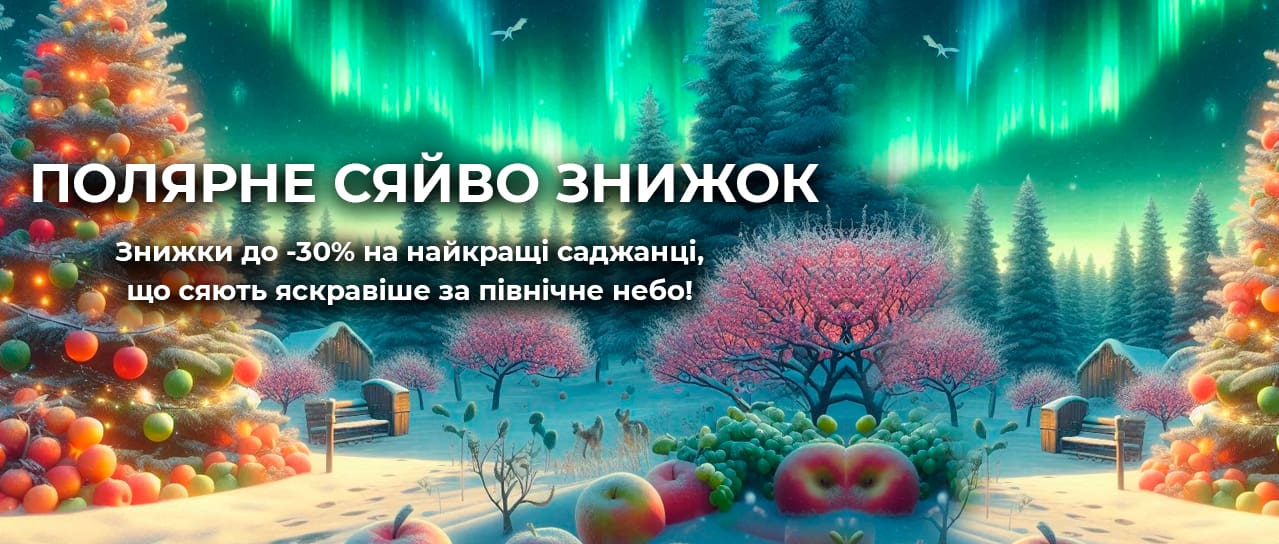 Полярне сяйво знижок на саджанці