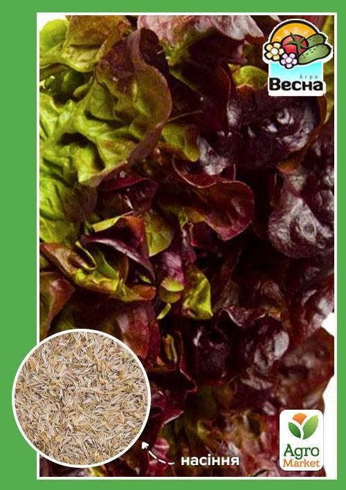 Салат листовий Американський коричневий ТМ Весна 0.5г
Салат листовий Американський коричневий ТМ Весна 0.5г