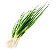 Лук на перо