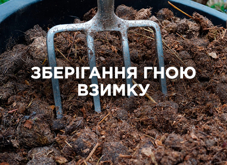 Поради щодо правильного зберігання гною взимку Поради щодо правильного зберігання гною взимку