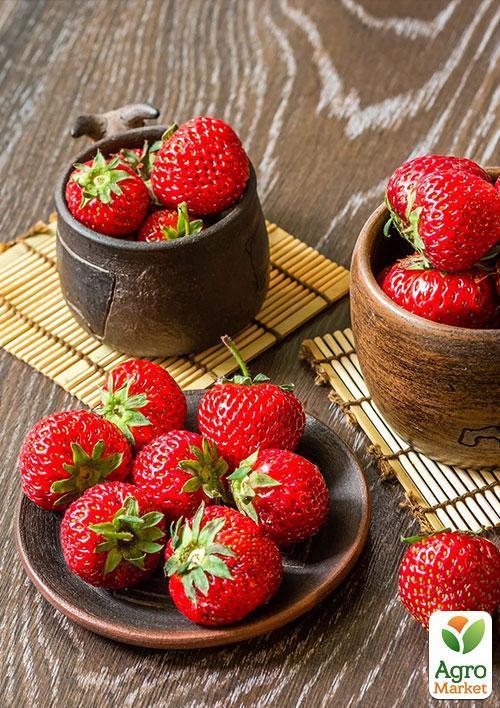 Полуниця Флер (Flair) (ультраранній термін дозрівання)
Полуниця Флер (Flair) (ультраранній термін дозрівання)