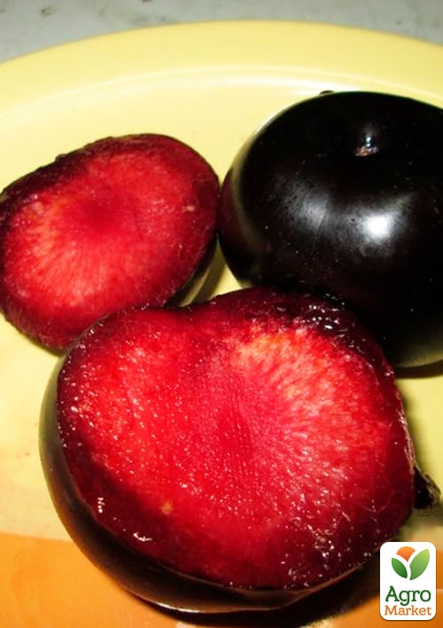 Слива Блэк Даймонд (Black Diamond) (летний сорт, среднеранний срок созревания)
Слива Блэк Даймонд (Black Diamond) (летний сорт, среднеранний срок созревания)