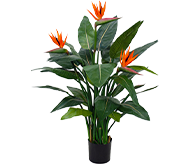 Стрелітція