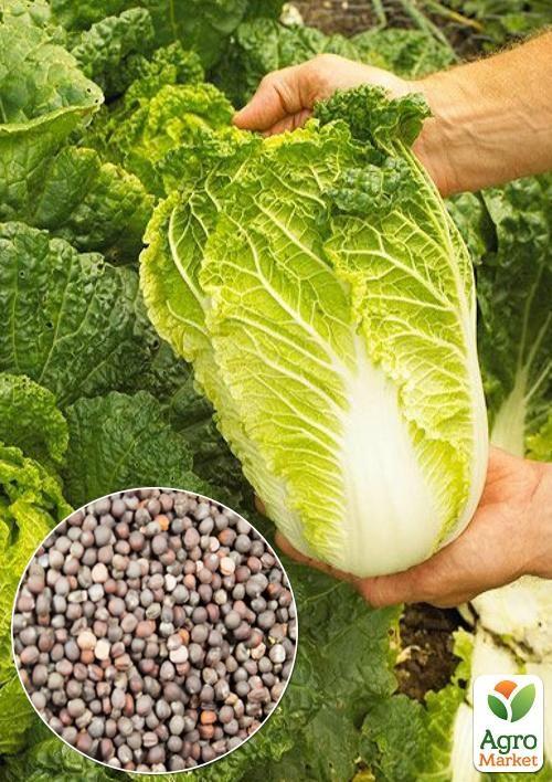 На развес Капуста пекинская Ранняя красавица ТМ Весна цена за 2г
На развес Капуста пекинская Ранняя красавица ТМ Весна цена за 2г