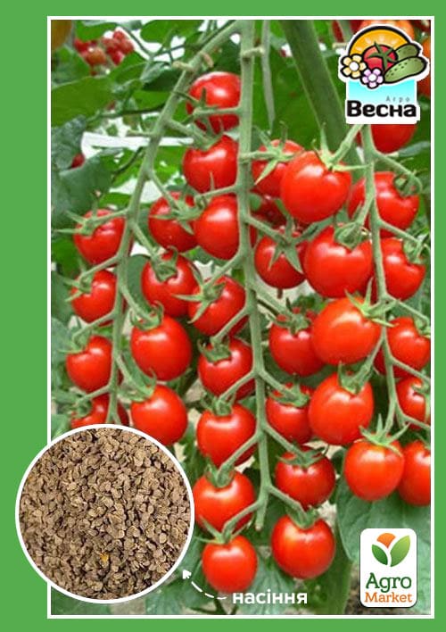 Томат Виноградный ТМ Весна 0.1г
Томат Виноградный ТМ Весна 0.1г