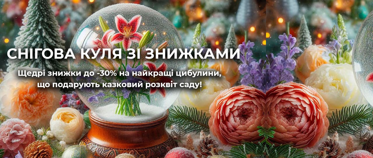 Снігова куля цибулин зі знижками