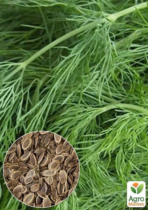 На развес Укроп Амброзия ТМ Весна цена за 20г
На развес Укроп Амброзия ТМ Весна цена за 20г