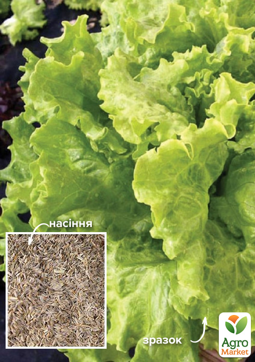 На развес Салат Традиция ТМ Весна цена за 8г
На развес Салат Традиция ТМ Весна цена за 8г