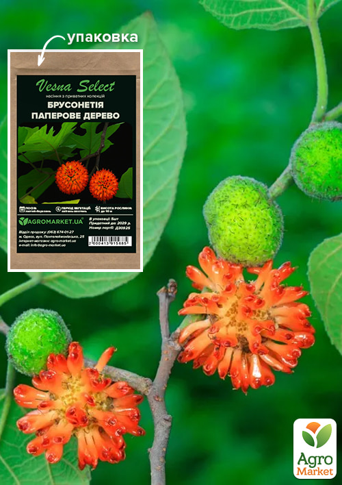 Брусонетія Паперове дерево ТМ Vesna Select 5шт
Брусонетія Паперове дерево ТМ Vesna Select 5шт