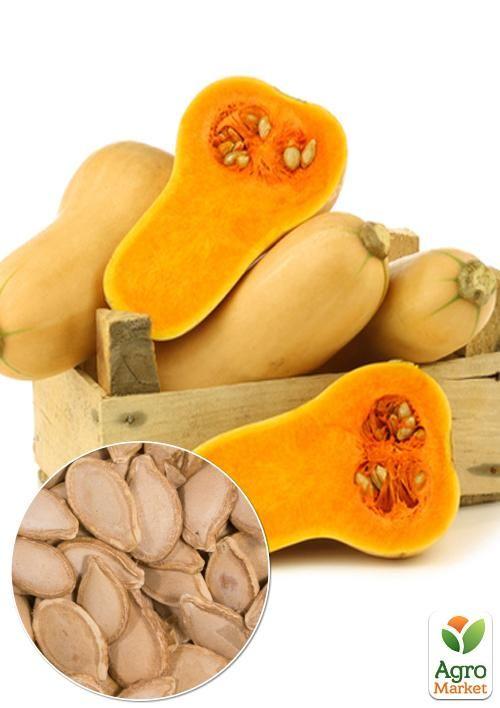 На развес Тыква Арабатская ТМ Весна цена за 10г
На развес Тыква Арабатская ТМ Весна цена за 10г