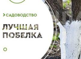 Найкращі суміші для побілки дерев - корисні статті про садівництво від Agro-Market