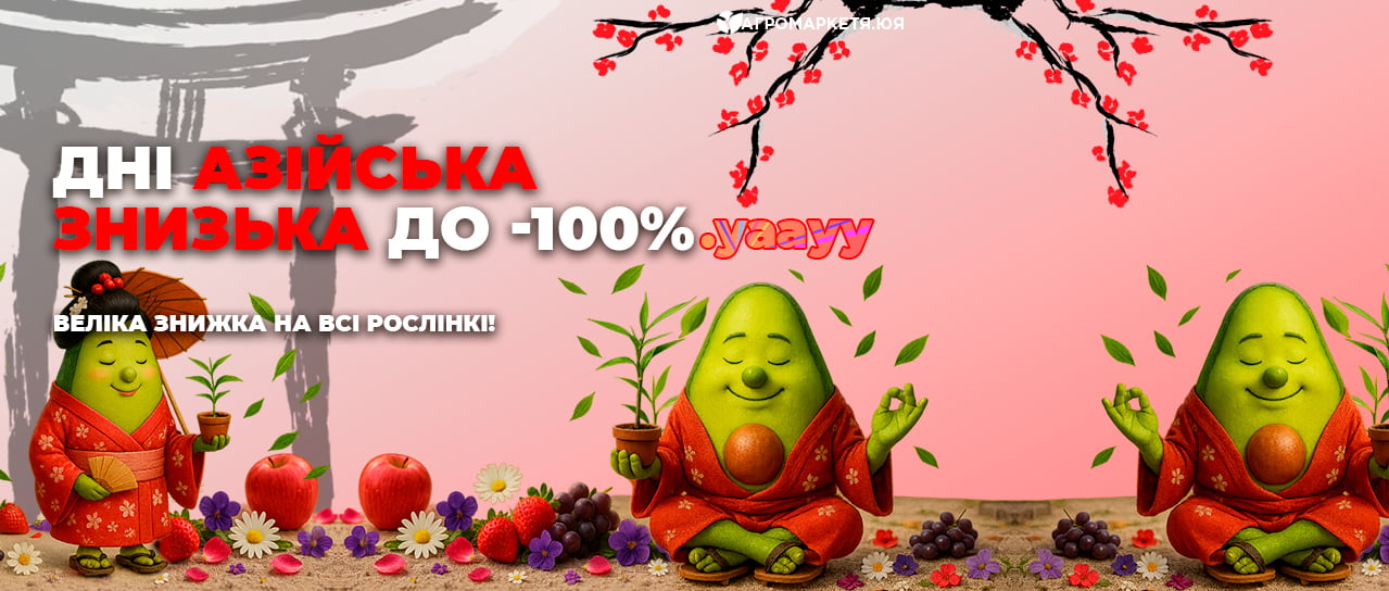 Дні азійська знизька до -100%