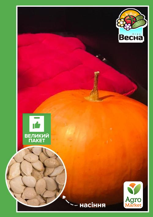 Гарбуз Медовий (Великий пакет) ТМ Весна 4г
Гарбуз Медовий (Великий пакет) ТМ Весна 4г