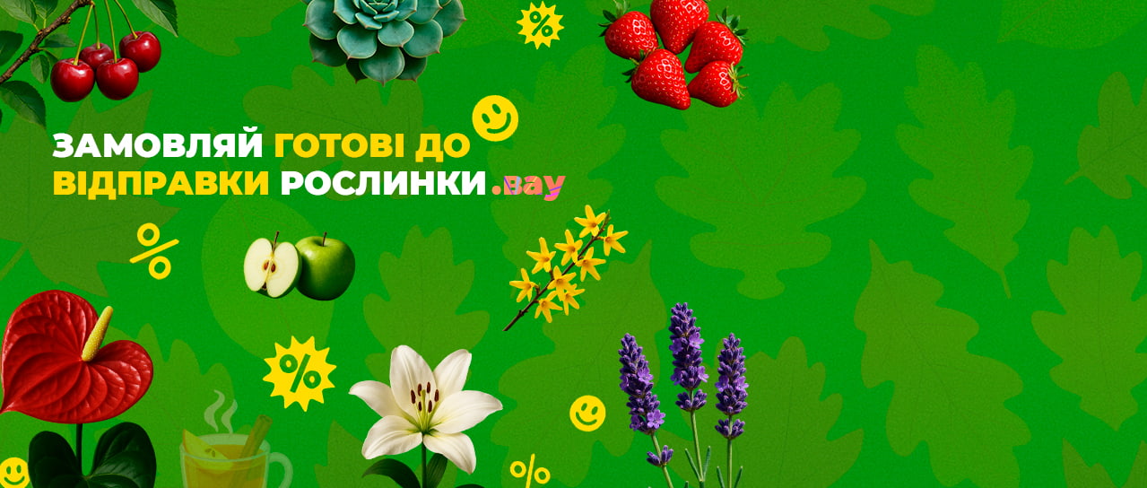 Рослини готові до відправлення