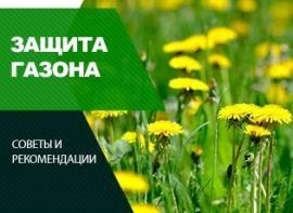 Гербіцид для газону - корисні статті про садівництво від Agro-Market