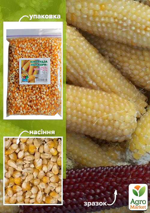 Кукурудза Поп-корн ТМ Весна 500г
Кукурудза Поп-корн ТМ Весна 500г