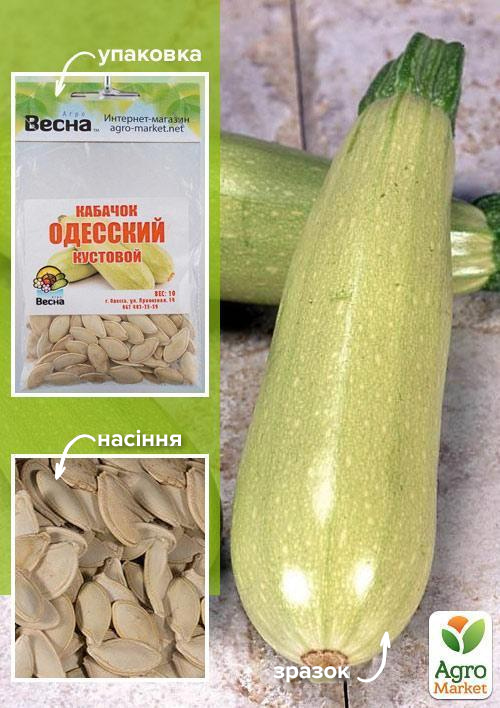 Кабачок Одеський кущовий (Зипер) ТМ Весна 5г
Кабачок Одеський кущовий (Зипер) ТМ Весна 5г