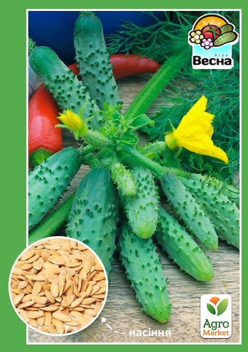 Огурец Гирлянда F1(Новый пакет) ТМ Весна 0.25г
Огурец Гирлянда F1(Новый пакет) ТМ Весна 0.25г